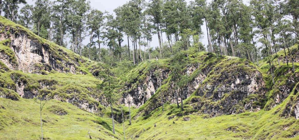 Teduh Piyoh Gayo Aceh