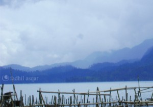 Teduh Piyoh Gayo Aceh