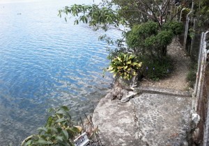 Teduh Piyoh Gayo Aceh