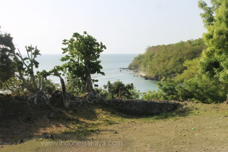 1201_Benteng_ini_dapat_menjangkau_jarak_pandang_yang_luas_sehingga_strategis_untuk_pertahanan_maritim_(2)