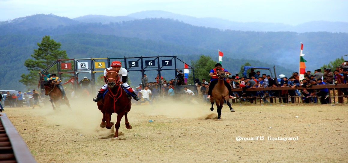 Pacuan Kuda di tanah tinggi Gayo