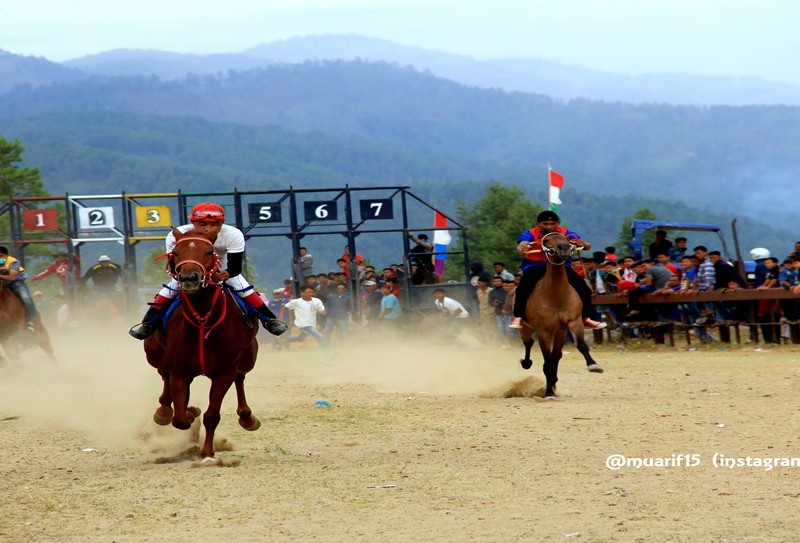 Pacuan Kuda di tanah tinggi Gayo