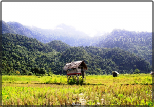 Bentangan lahan sawah warga Pudeng, paska panen.