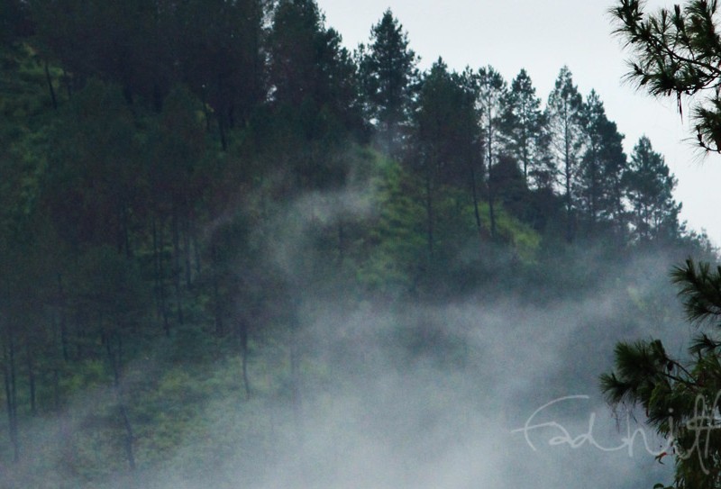 Morning Mist On Gayo Highland